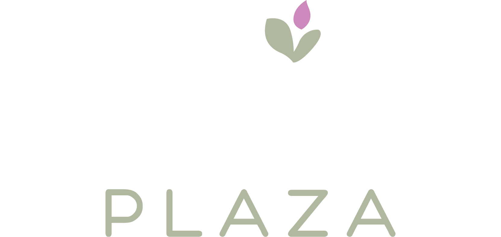 Logo Plaza Cenizo